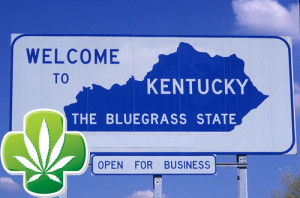 Regardless of political affiliation Kentucky citizens overwhelmingly support Medical Marijuana. 
