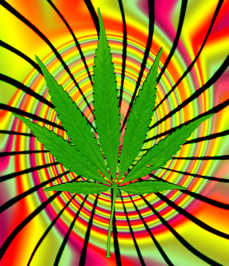 marijuana_leaf_v2_request_by_holly6669666